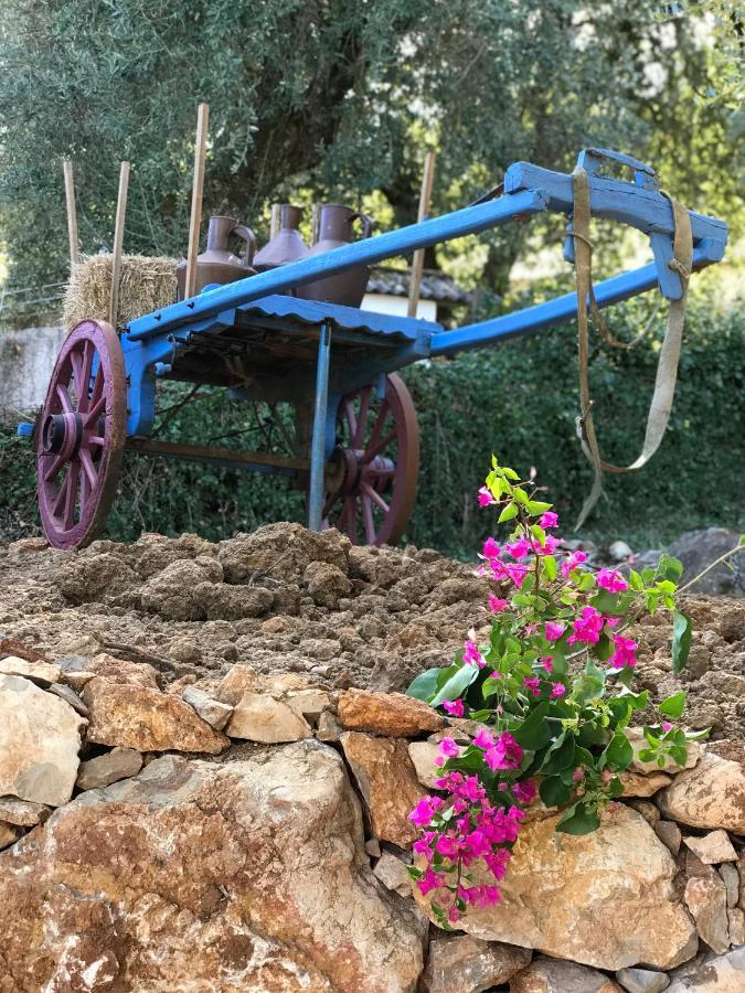 ArrimalMoradia Rural De Charme Agradavel E Acolhedora别墅 外观 照片