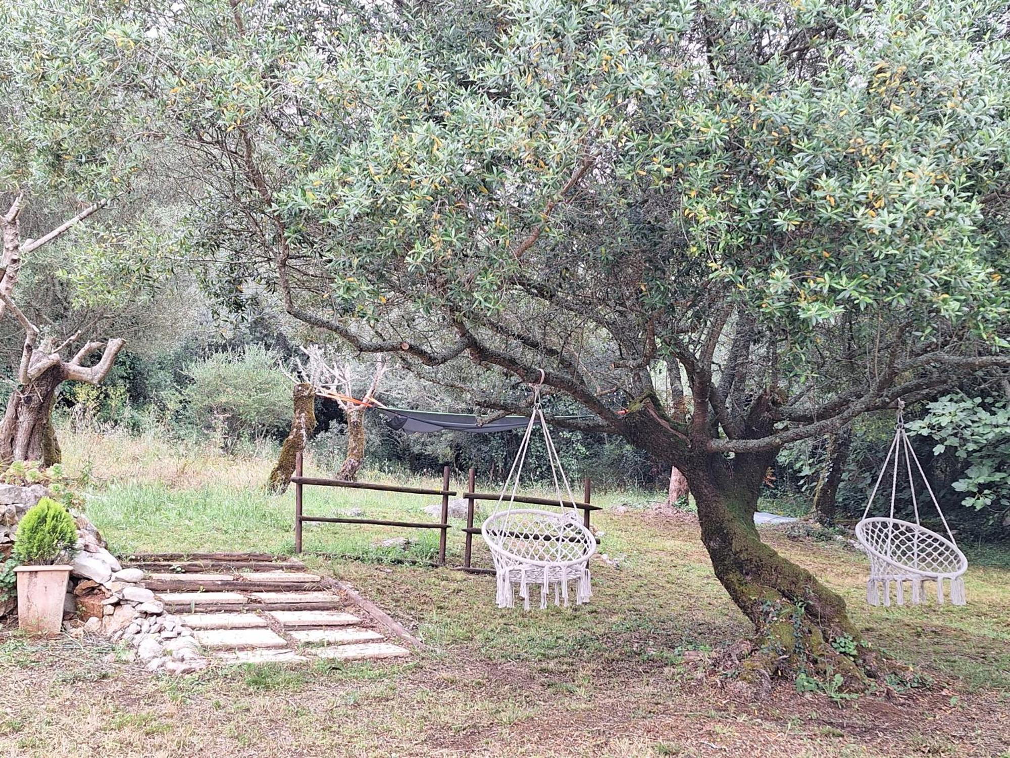 ArrimalMoradia Rural De Charme Agradavel E Acolhedora别墅 外观 照片