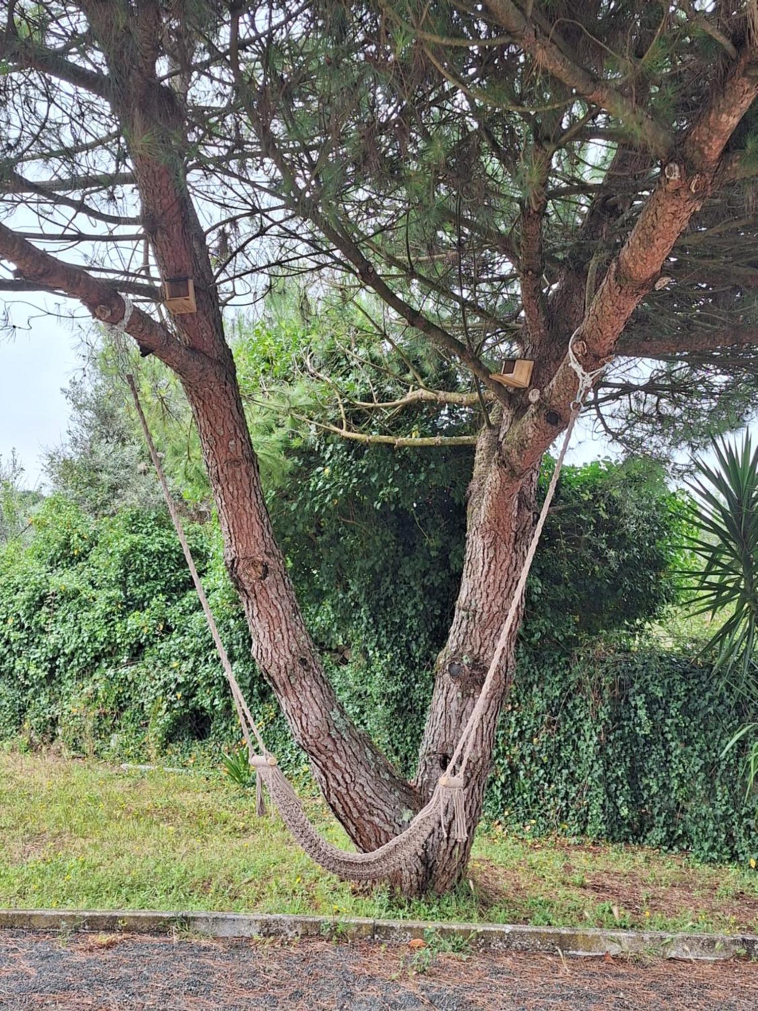 ArrimalMoradia Rural De Charme Agradavel E Acolhedora别墅 外观 照片
